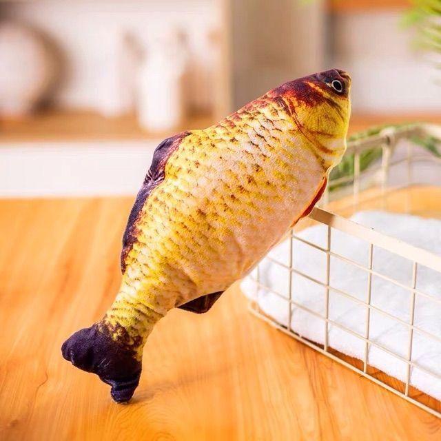 Cá nhảy theo nhạc