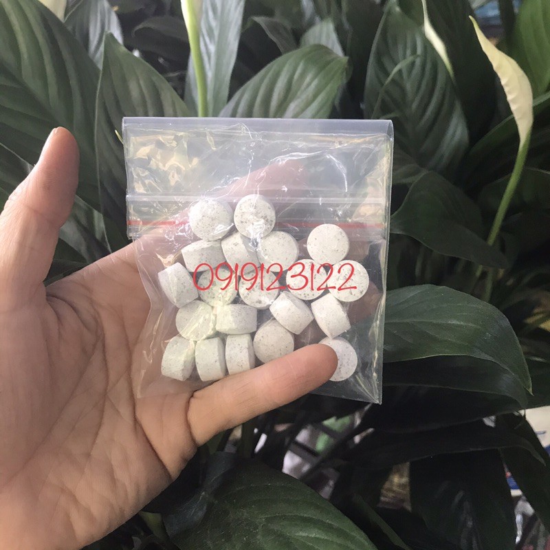 Phân bón HYPONeX NPK 12-12-12 gói nhỏ 20 viên, phân bón chuyên cho kiểng lá