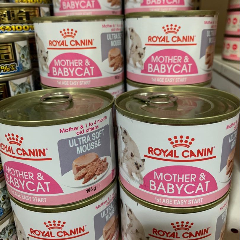 Pate Lon Royal Canin Mother Baby Cat 195g dành cho mèo mẹ và mèo con