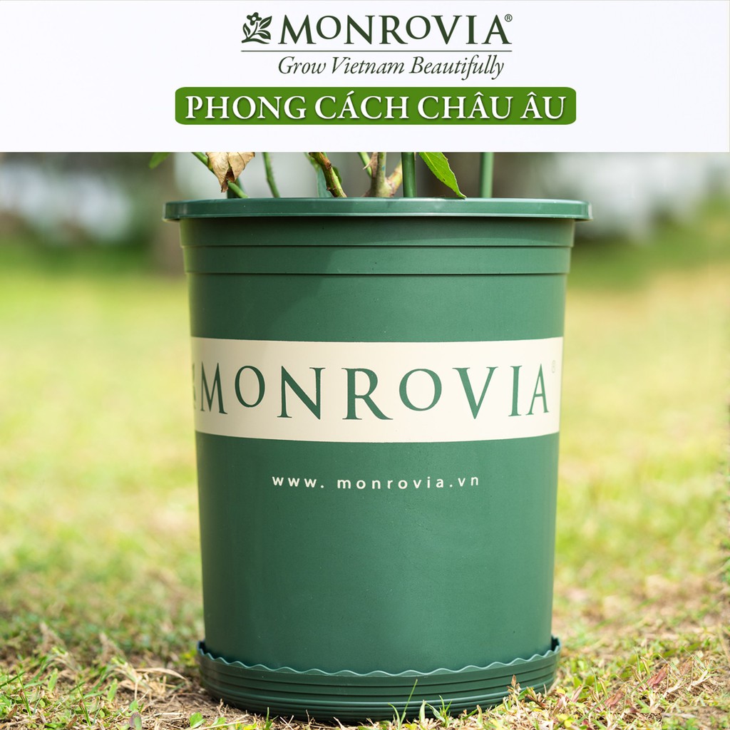 Combo 5 Chậu trồng cây MONROVIA 1 Gallon, kèm đĩa lót, cây cảnh mini, trồng rau, hoa, để bàn, treo ban công, nhập khẩu