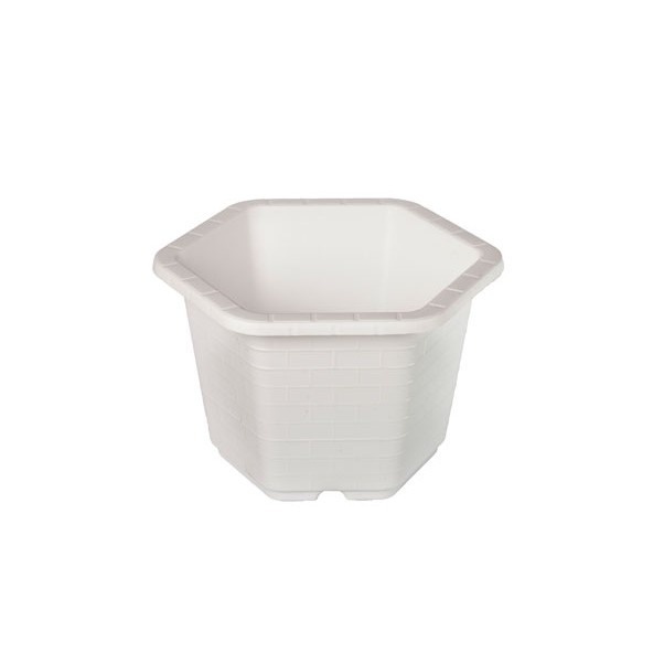 Combo 10 chậu lục giác 31x20cm