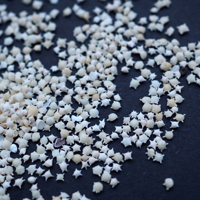 Mặt Dây Chuyền Hình Sao Biển Bằng Epoxy Độc Đáo DIY