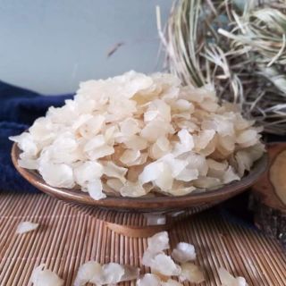 Tuyết Liên Tử/ Bồ Mễ