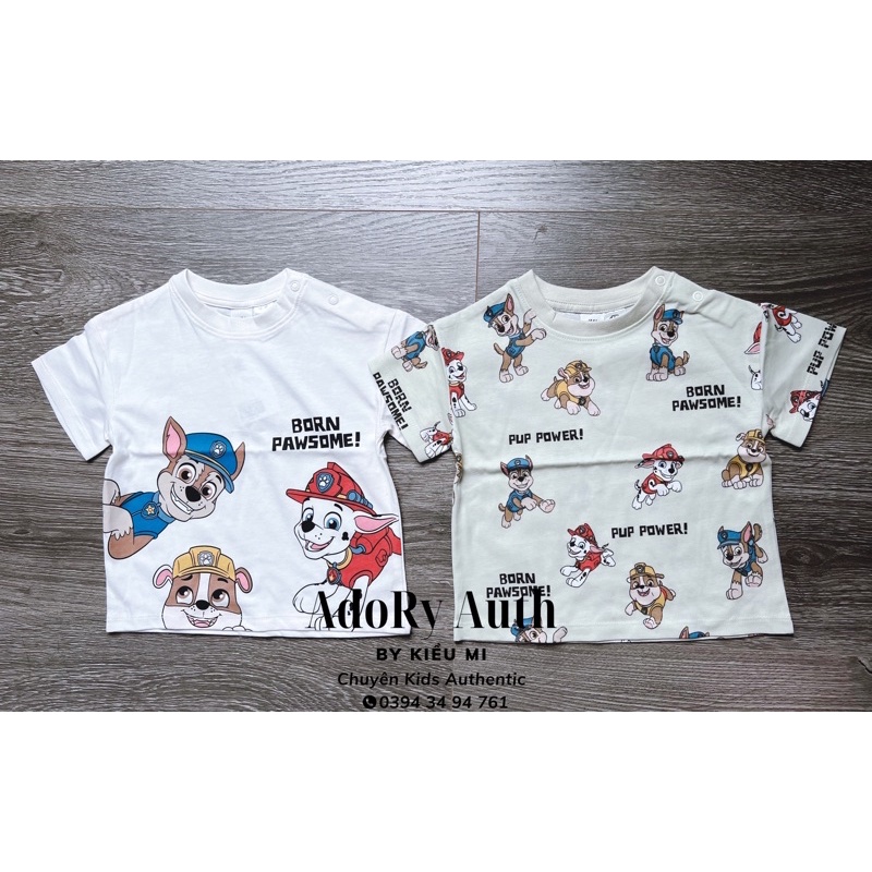 Áo thun chó cứu hộ auth HM ( set 2 cái)