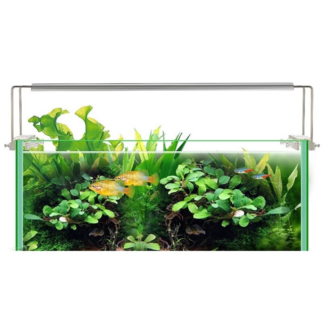 Đèn led Slim X Bể cá