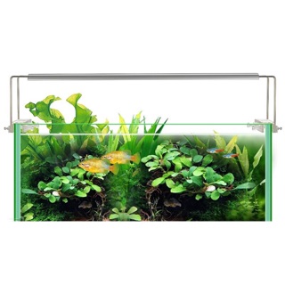 Đèn led Slim X Bể cá