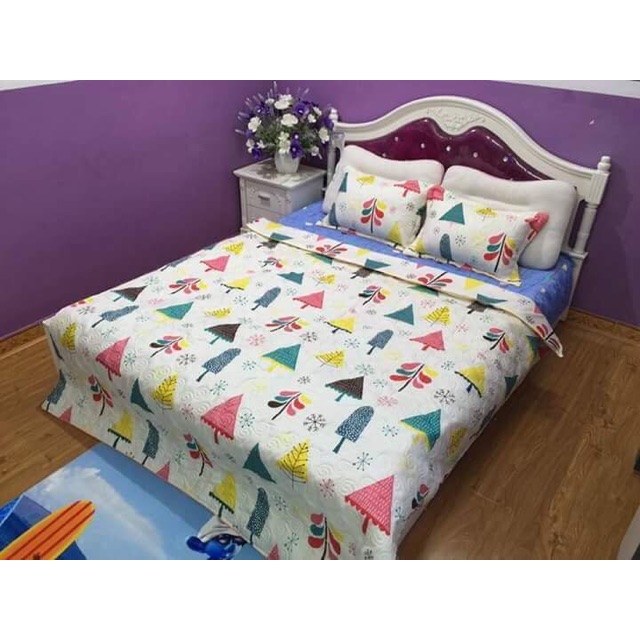 Bộ Drap Cotton Hàn Quốc