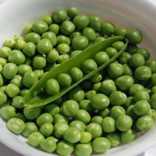 Hạt giống đậu Hà Lan