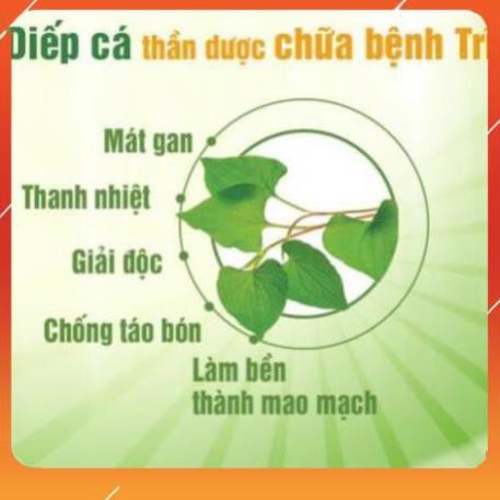 Bột Diếp Cá Nguyên Chất Quảng Thanh Hỗ Trợ Bệnh Trĩ kháng Viêm Tiêu Hóa Tốt - Túi 100g [CarobiFood]