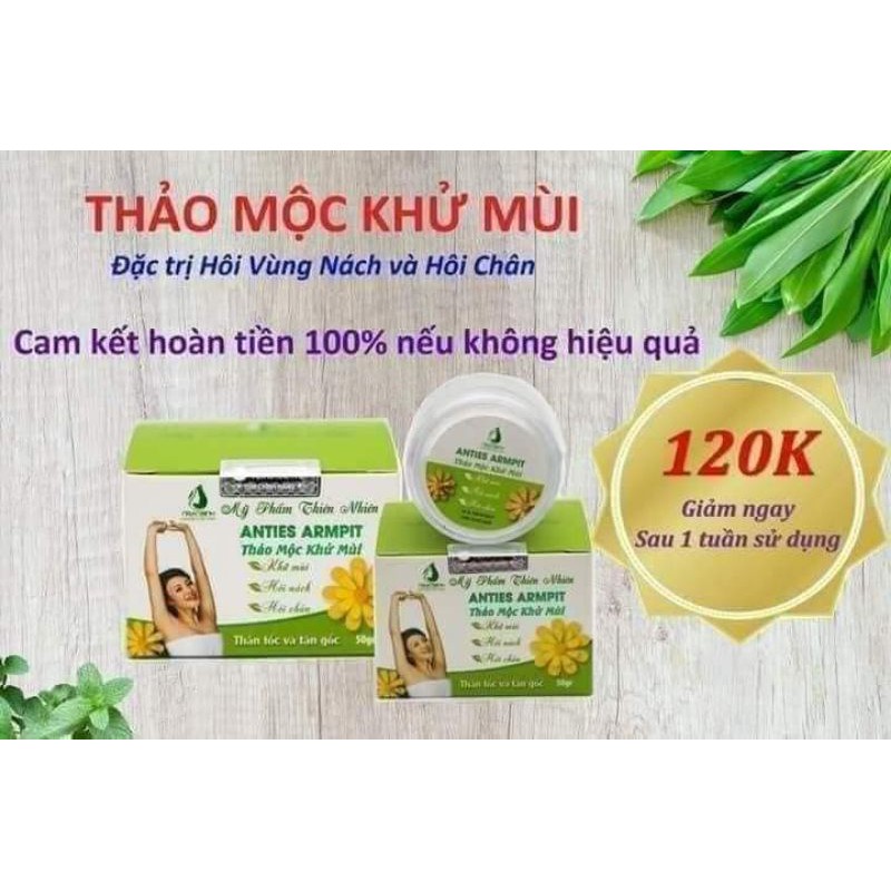 Thảo mộc khử mùi Ngân Bình