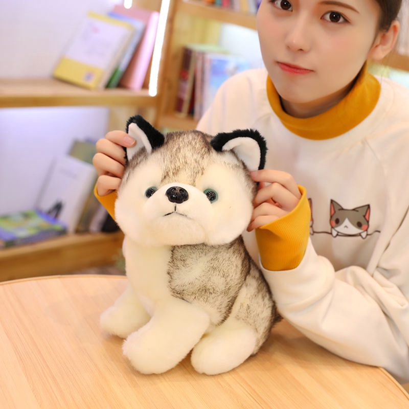 Dễ thương mô phỏng Husky Doll Đồ chơi nhồi bông Cún con búp bê Erha Búp bê kèn Quà sinh nhật