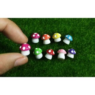 Nấm mini Tiểu cảnh sen đá sân vườn bể cá