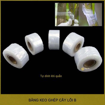 Bộ 5 cuộn băng keo giúp cây tự dính 3cmx85m