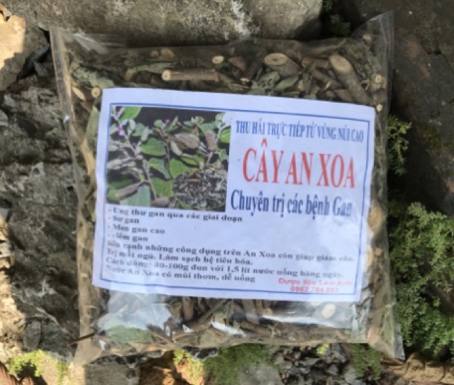 1kg cây an xoa trị gan | BigBuy360 - bigbuy360.vn