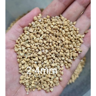 🔥 🌼ĐÁ MASATO RẢI MẶT SEN ĐÁ🌸, XƯƠNG RỒNG, GIÚP GIỮ MÀU CHO CÂY, TẠO ĐỘ THÔNG THOÁNG