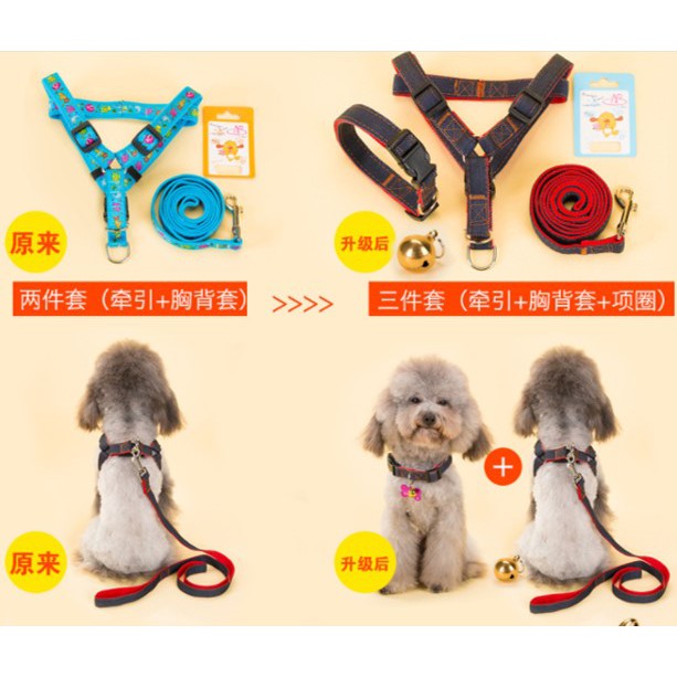 Bộ dây dắt chó mè 2 kiểu hoa văn (vòng cổ + yếm)