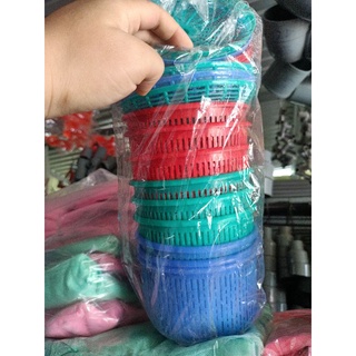 Combo 50 rổ hành tỏi nhỏ