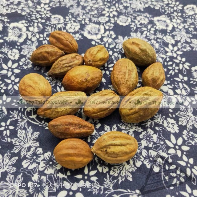 500g Quả Kha Tử