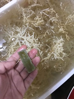 100gr RONG SỤN KHÔ 40k