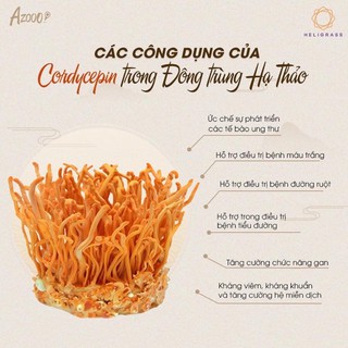 ❤️ĐÔNG TRÙNG HẠ THẢO HELIGRASS 10gram