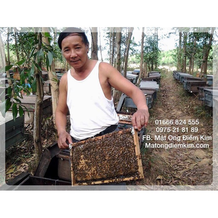 Phấn hoa ngâm mật ong | Thế Giới Skin Care