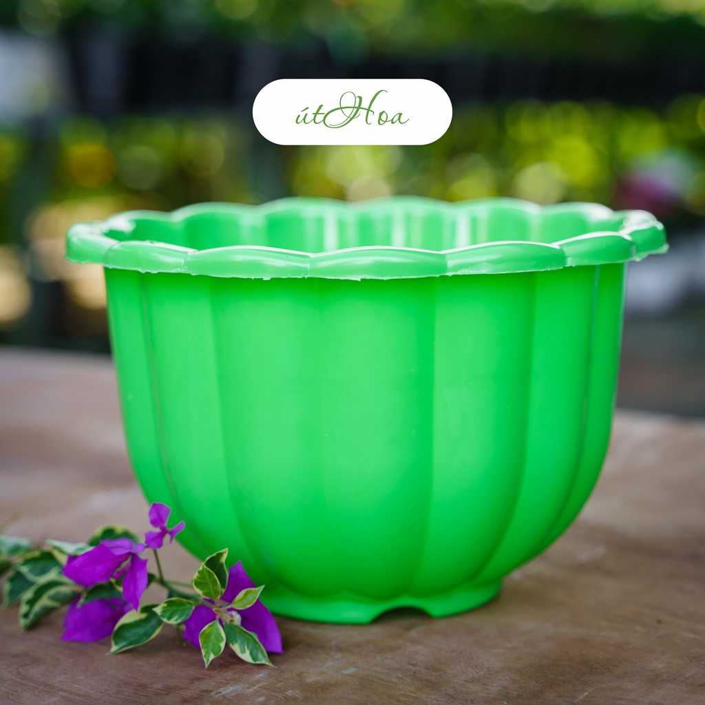 [Có dây treo] Chậu treo bí lớn 22x14cm mẫu mới đặc biệt Dày dặn