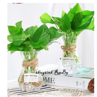Combo 02 Lọ thủy tinh miệng loe miệng dùng để cắm hoa, trồng cây thủy sinh theo phong thuỷ cao 14cm, miệng rộng 7.5cm