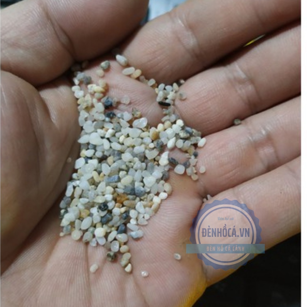 Sỏi nền hồ cá 500g , sỏi muối tiêu rải nền hồ cá