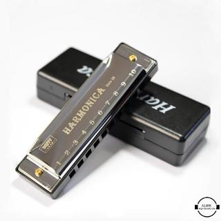 Kèn Harmonica 10 Lỗ Chuyên Nghiệp Cho Người Mới Bắt Đầu