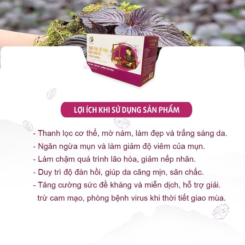 Trà Tía Tô Tím Collagen Mờ Nám Đẹp da Om Sapa 105gr