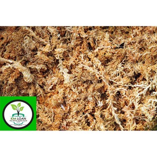 Dớn mềm (dớn trắng) nhập khẩu từ Chi-lê (1 bịch 100g)