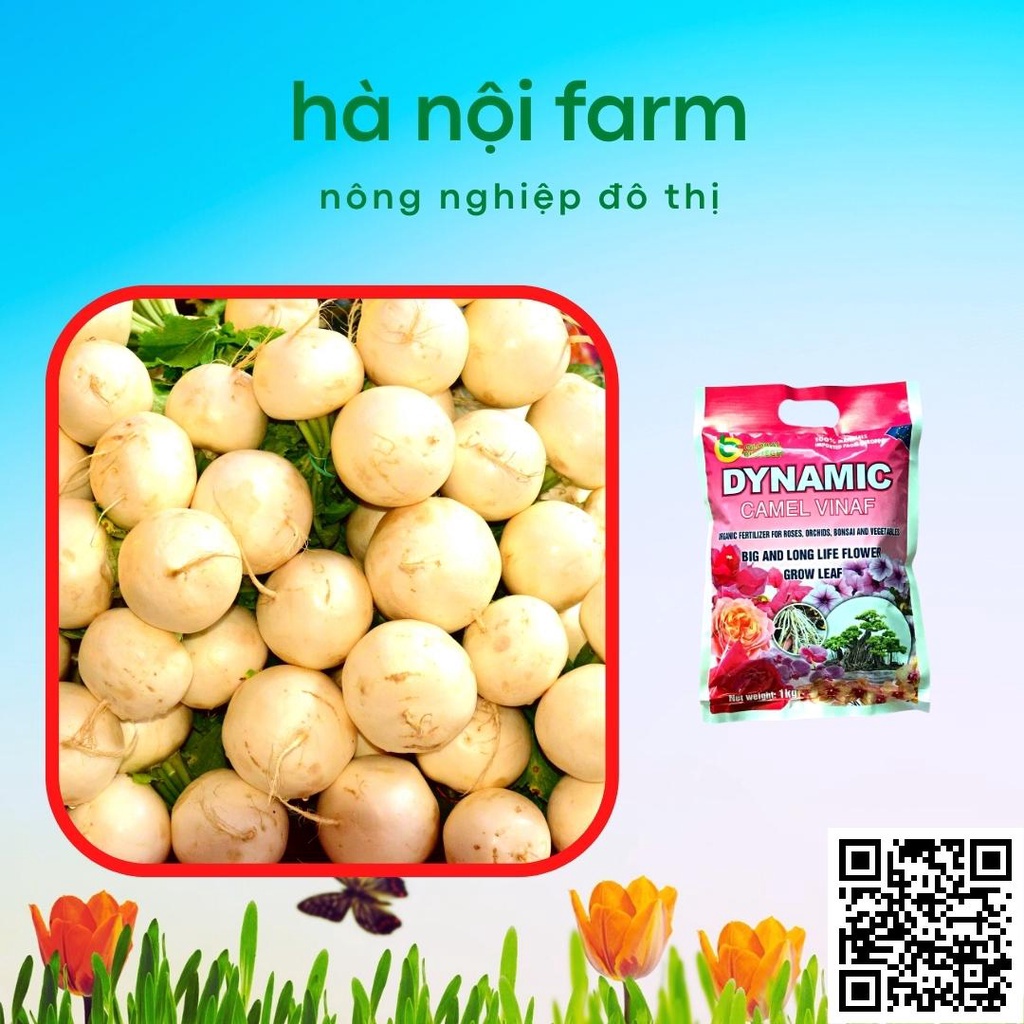 Phân bón hữu cơ tổng hợp Dynamic Nhật bản túi 1kg, khỏe cây nhiều