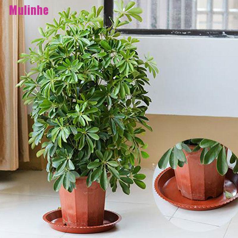 Khay nhựa tròn đựng chậu cây cỡ nhỏ/vừa/lớn