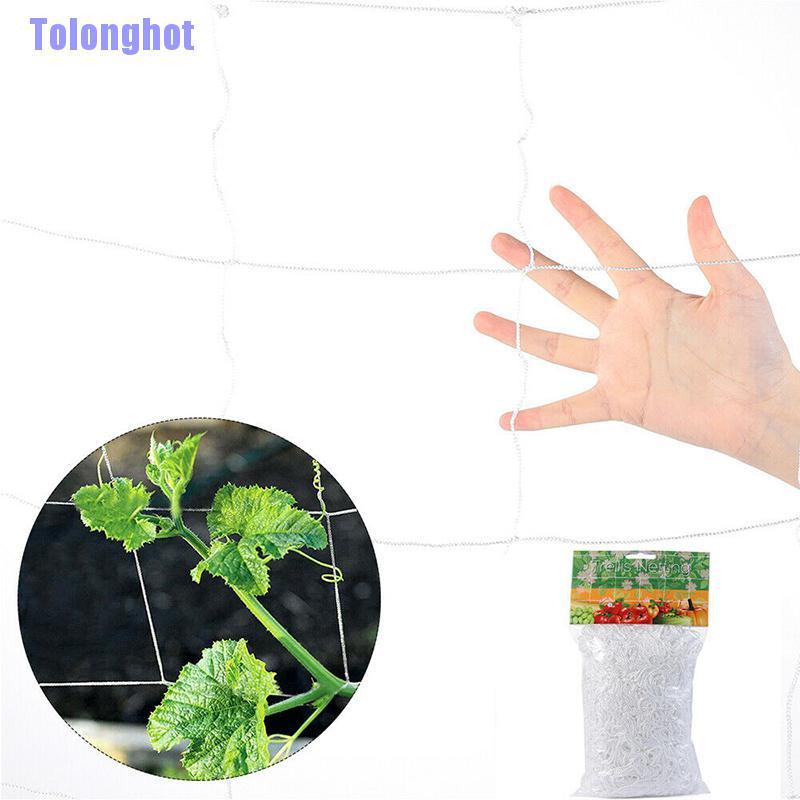 Hàng Rào Lưới Hỗ Trợ Leo Trèo Tiện Lợi