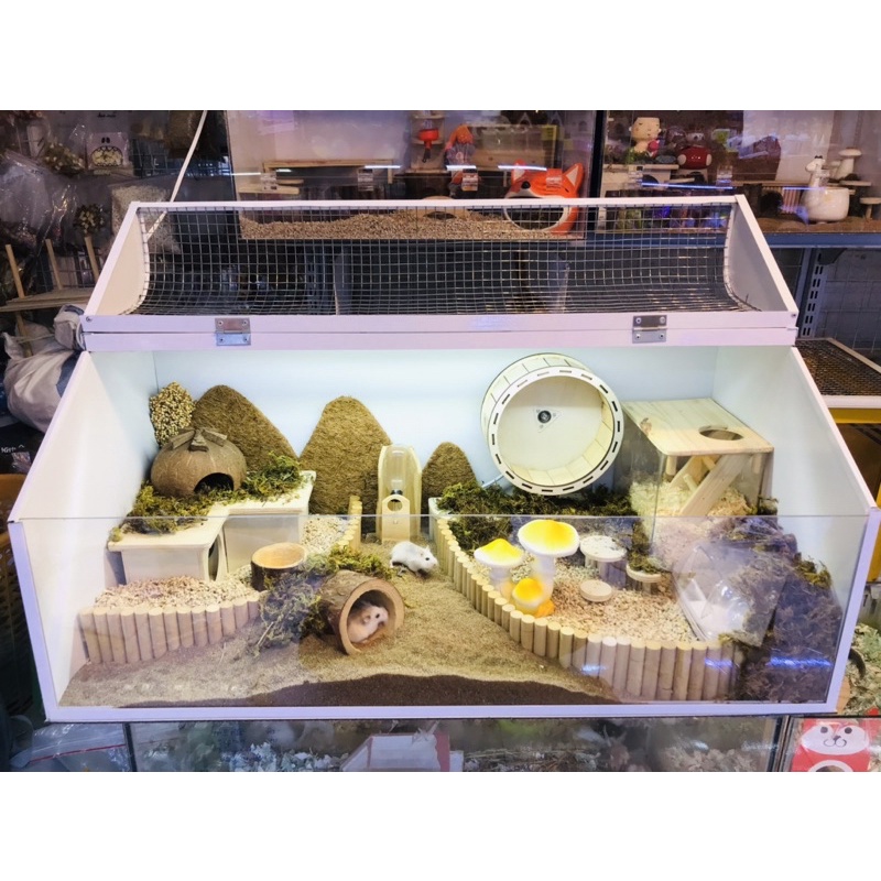 Thang lượn gỗ trắng