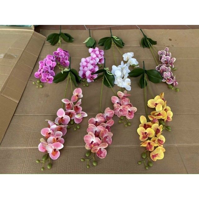 Hoa Lan Hồ Điệp cành 2 nhánh, sẵn lá - Hàng cao cấp lên bình nhanh gọn