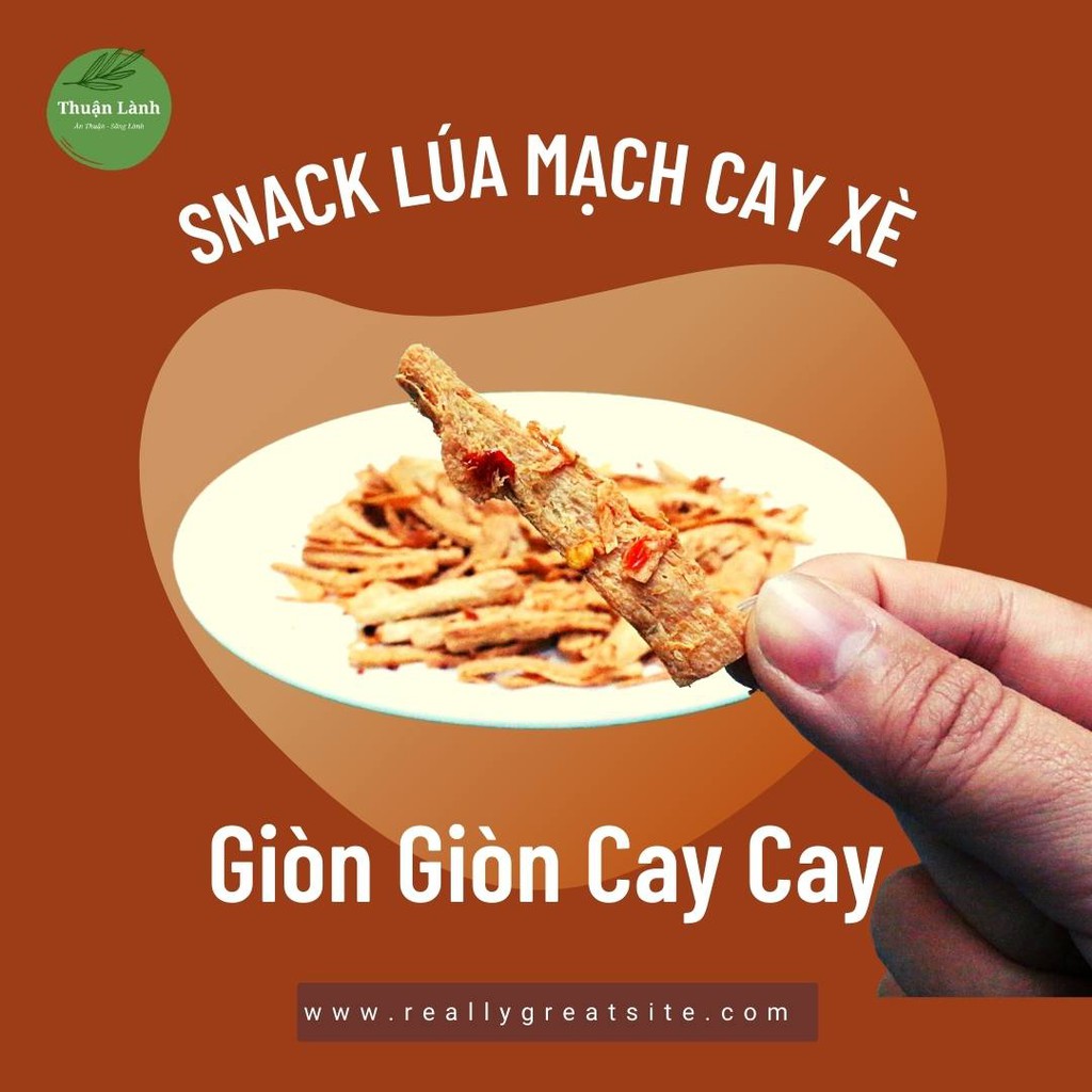 Snack Lúa Mạch Cay Xè - Thuận Lành - Ăn vặt healthy, thuần thực vật, giảm cân