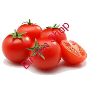 HẠT GIỐNG CÀ CHUA ẤN ĐỘ gói 30 hạt