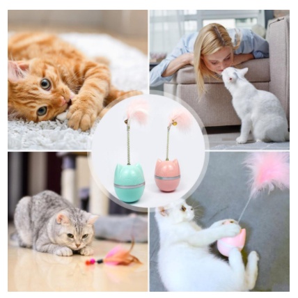 Đồ Chơi Tương Tác lất đật đầu lông vũ cho Mèo .