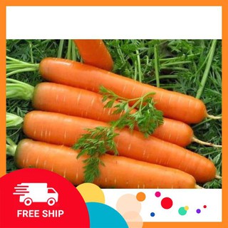 gói 10 gr giống cà rốt
