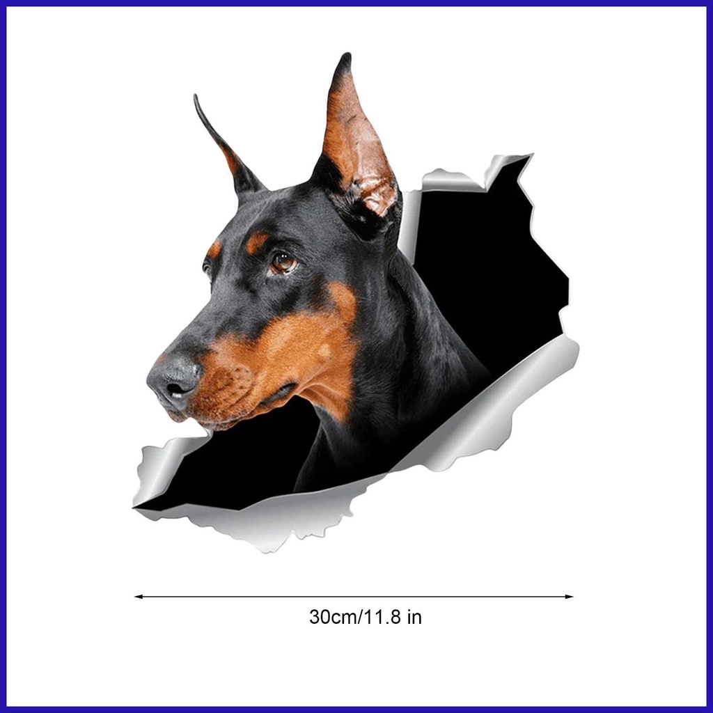 Miếng Dán Hình Chó Bull 3D Ngộ Nghĩnh Trang Trí Xe Hơi