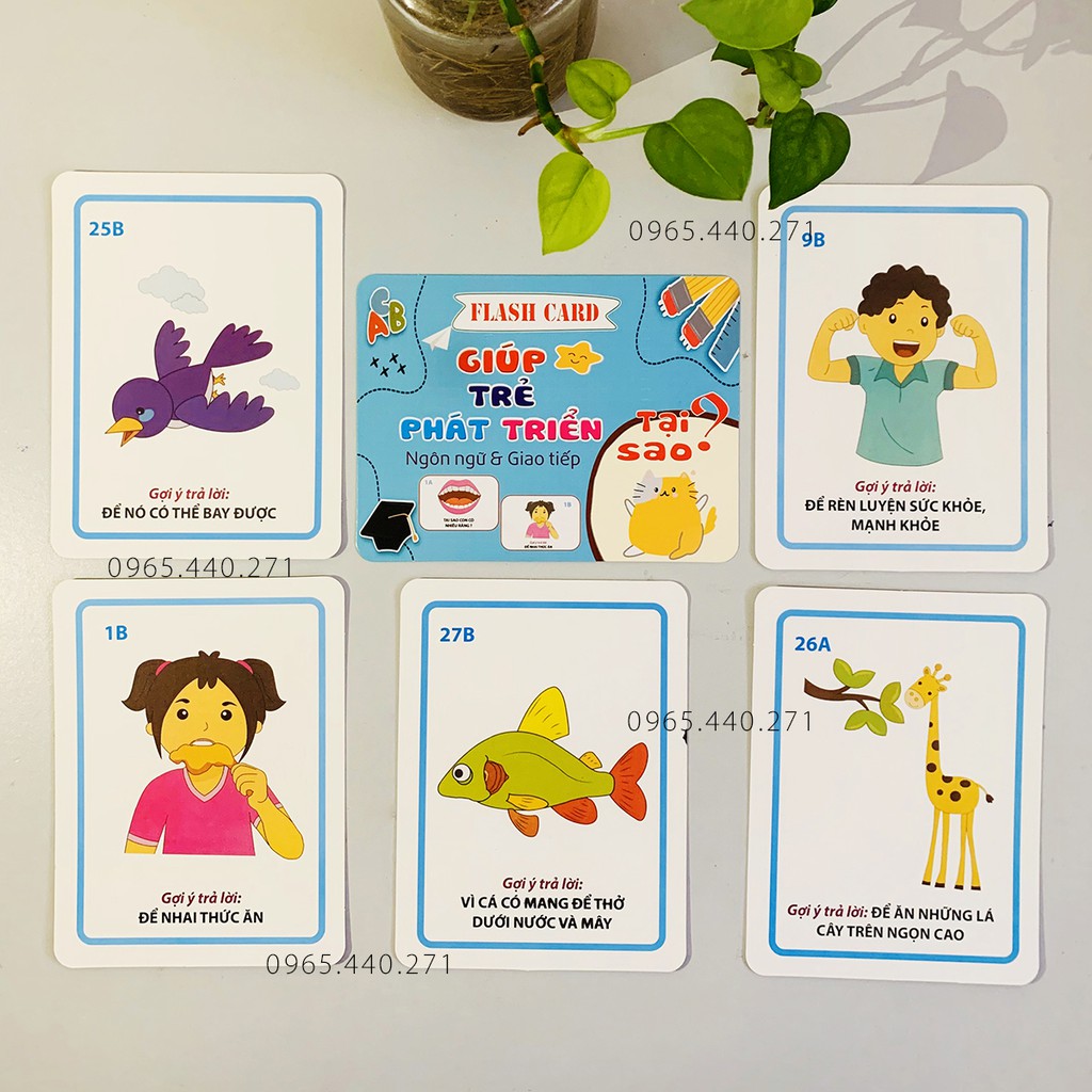 Bộ Flashcard 300 câu hỏi + trả lời giúp trẻ phát triển tư duy ngôn ngữ & giao tiếp: Ai? Cái gì? Ở đâu? Khi nào? Tại sao?