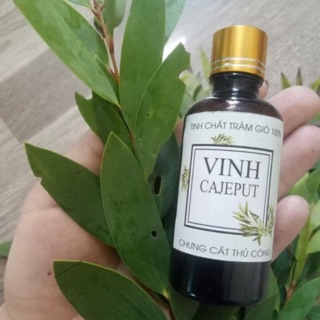 Tinh chất tràm gió 50ml