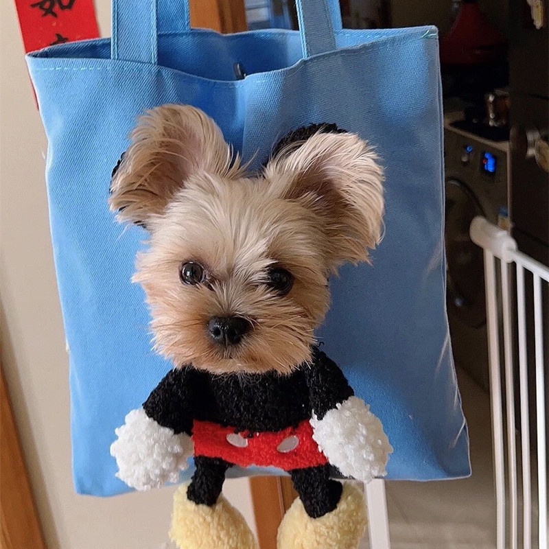 Túi Đeo Vai Hình Mặt Cười Dễ Thương Dành Cho Thú Cưng/Mèo Cưng/Cún Nhỏ/Mèo Cưng DIY