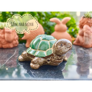 Rùa men nâu mai xanh lớn