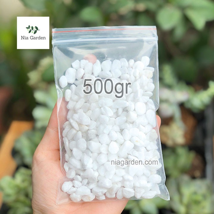 (500gr) Sỏi trắng tự nhiên size 0.6 - 1cm trang trí chậu cây cảnh hồ cá terrarium Nia Garden N6