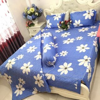 Bộ phủ trần bông 310k