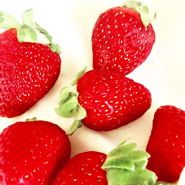 soHERBs & vavachi lisptick