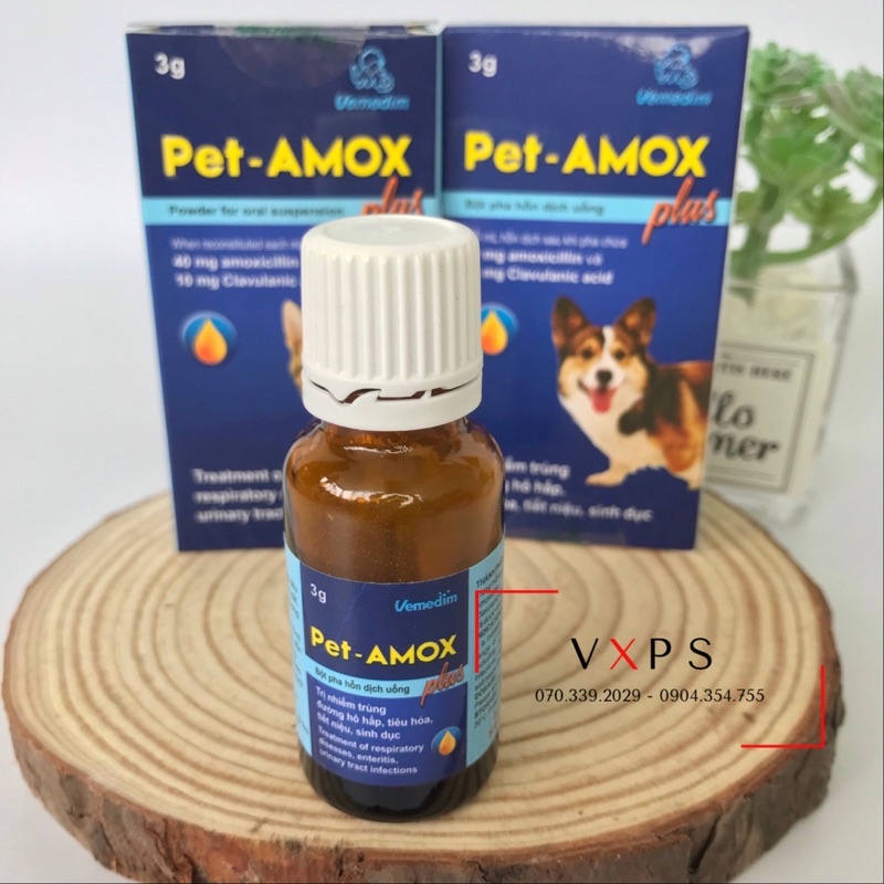 Dung Dịch Uống Pet-Amox Plus 3g Giảm Tiêu Chảy, Hô Hấp Cho Chó Mèo Pet Amox