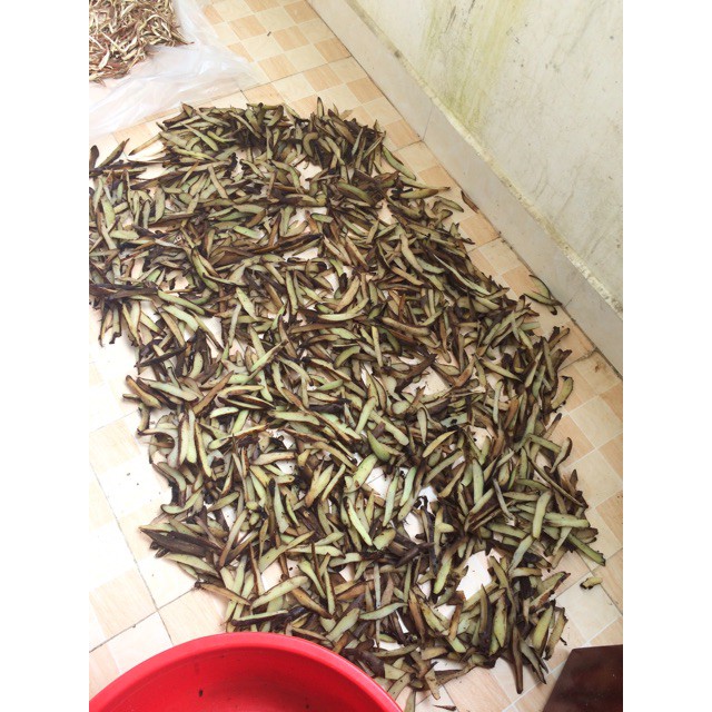 TẮC KÈ ĐÁ(thằn lằn đá 1kg)